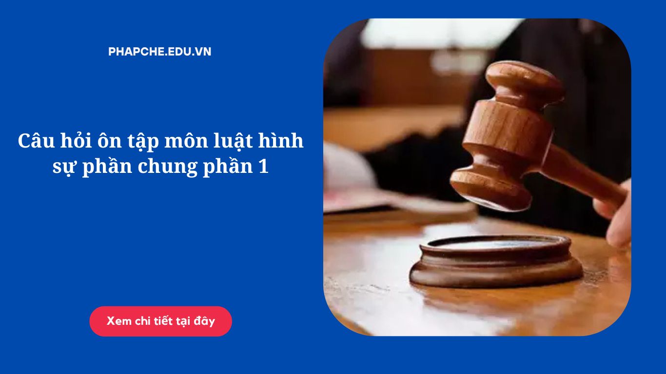 Câu hỏi ôn tập môn luật hình sự phần chung phần 1