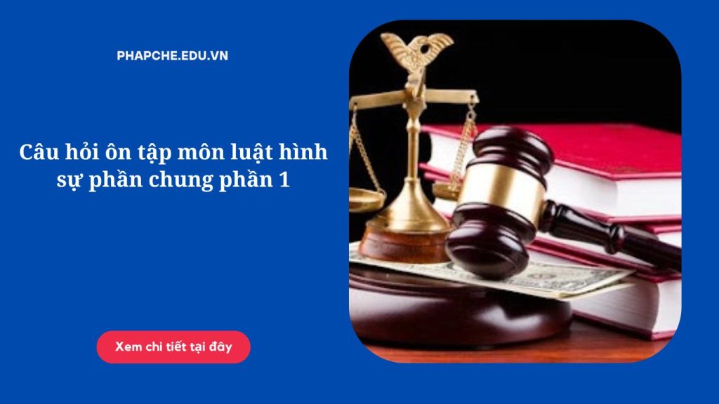 Câu hỏi ôn tập môn luật hình sự phần chung phần 1