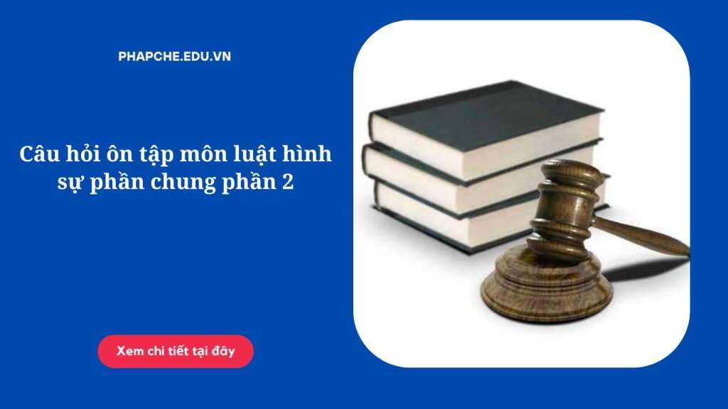 Câu hỏi ôn tập môn luật hình sự phần chung phần 2