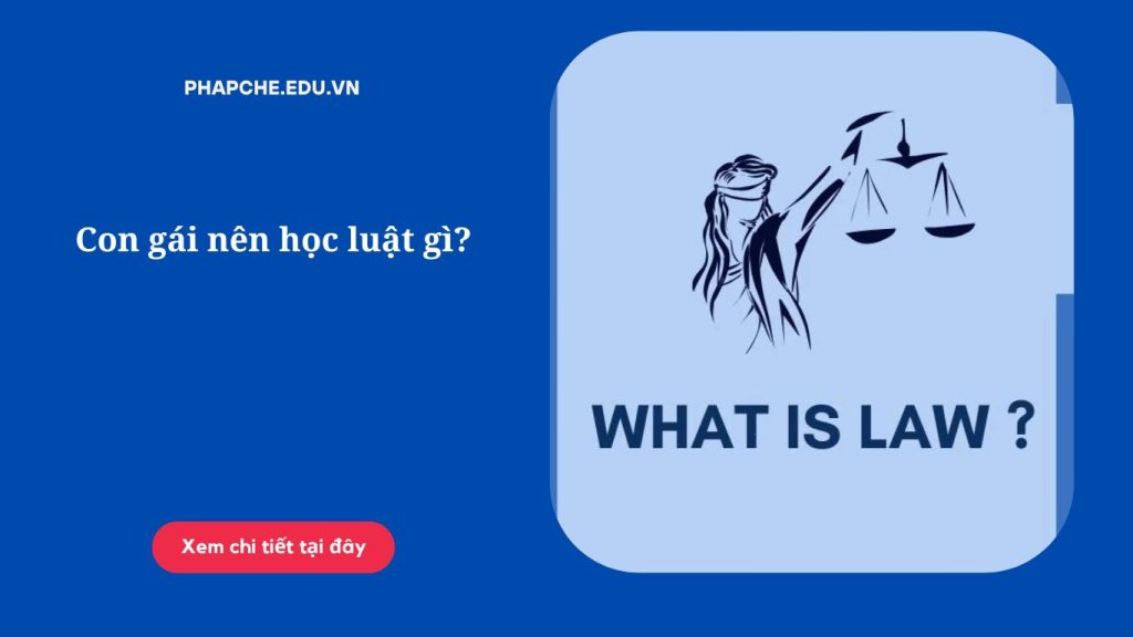 Con gái nên học luật gì?