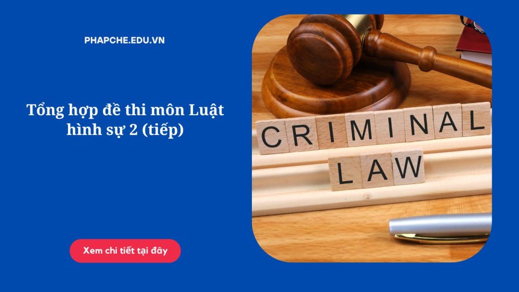 ổng hợp đề thi môn Luật hình sự 2 (tiếp)