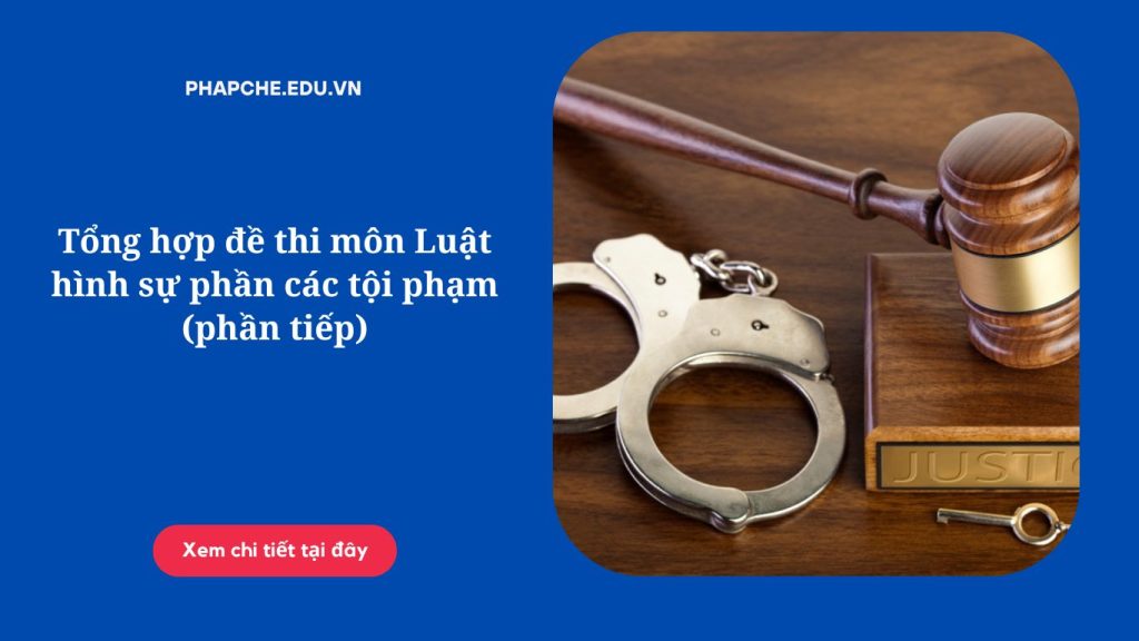 Tổng hợp đề thi môn Luật hình sự phần các tội phạm (phần tiếp)