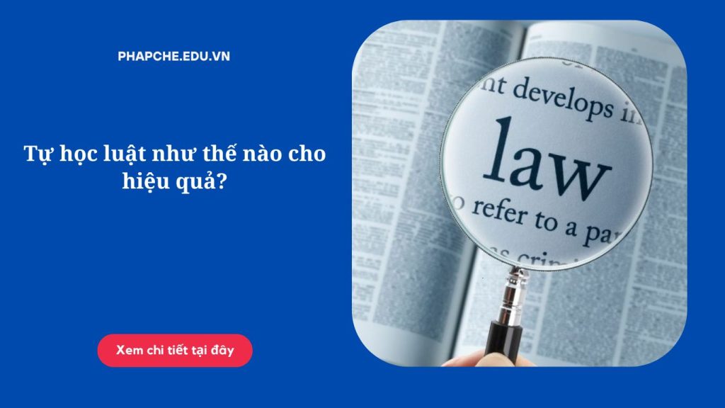 Tự học luật như thế nào cho hiệu quả?