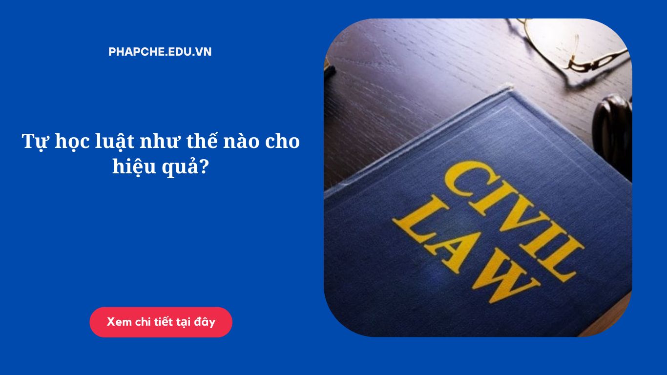 Tự học luật như thế nào cho hiệu quả?