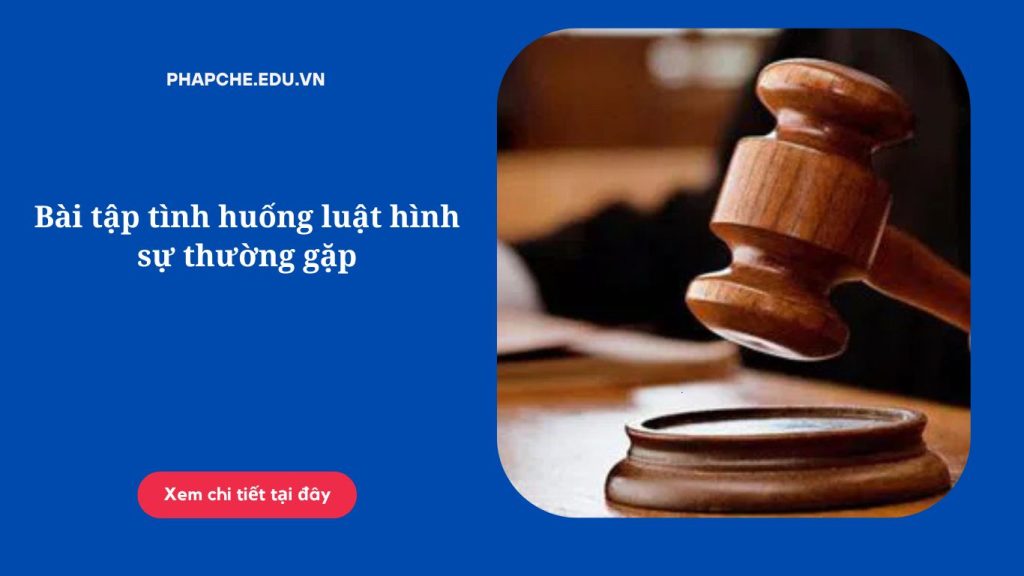 Bài tập tình huống luật hình sự thường gặp