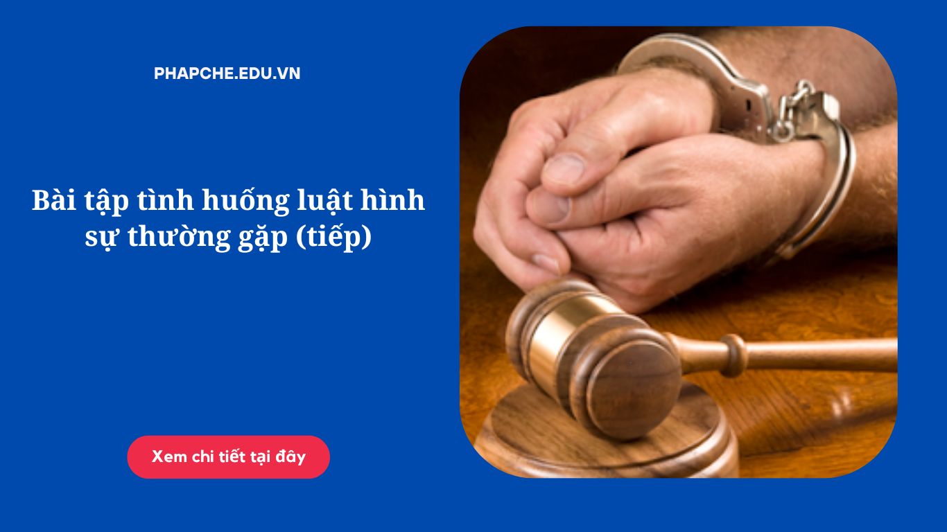 Bài tập tình huống luật hình sự thường gặp (tiếp)