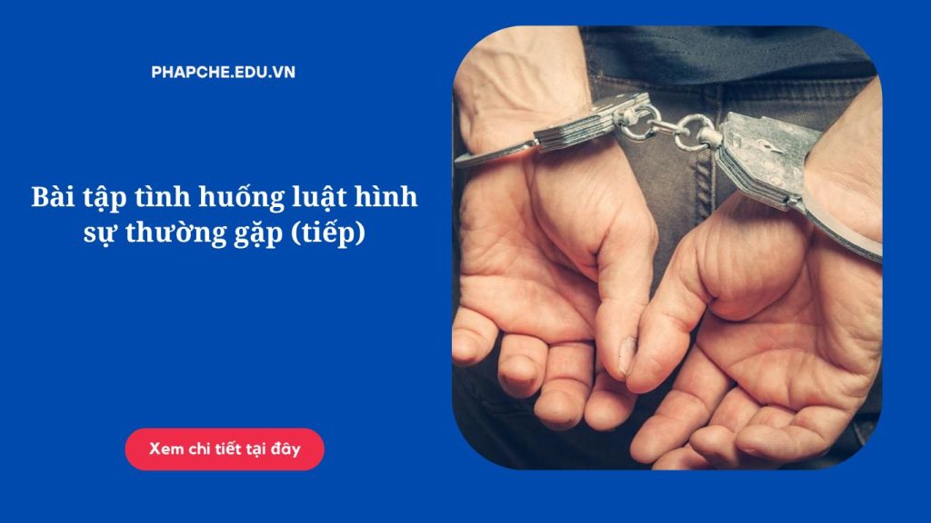 Bài tập tình huống luật hình sự thường gặp (tiếp)