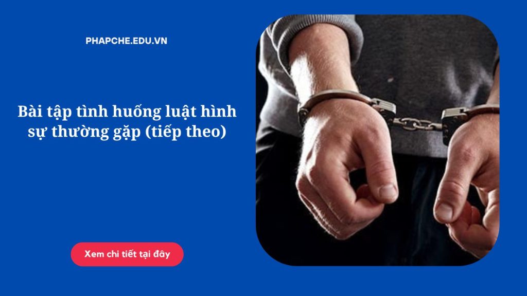 Bài tập tình huống luật hình sự thường gặp (tiếp theo)