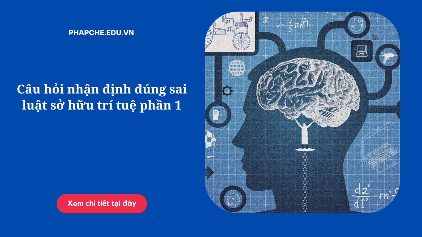 Câu hỏi nhận định đúng sai luật sở hữu trí tuệ phần 1