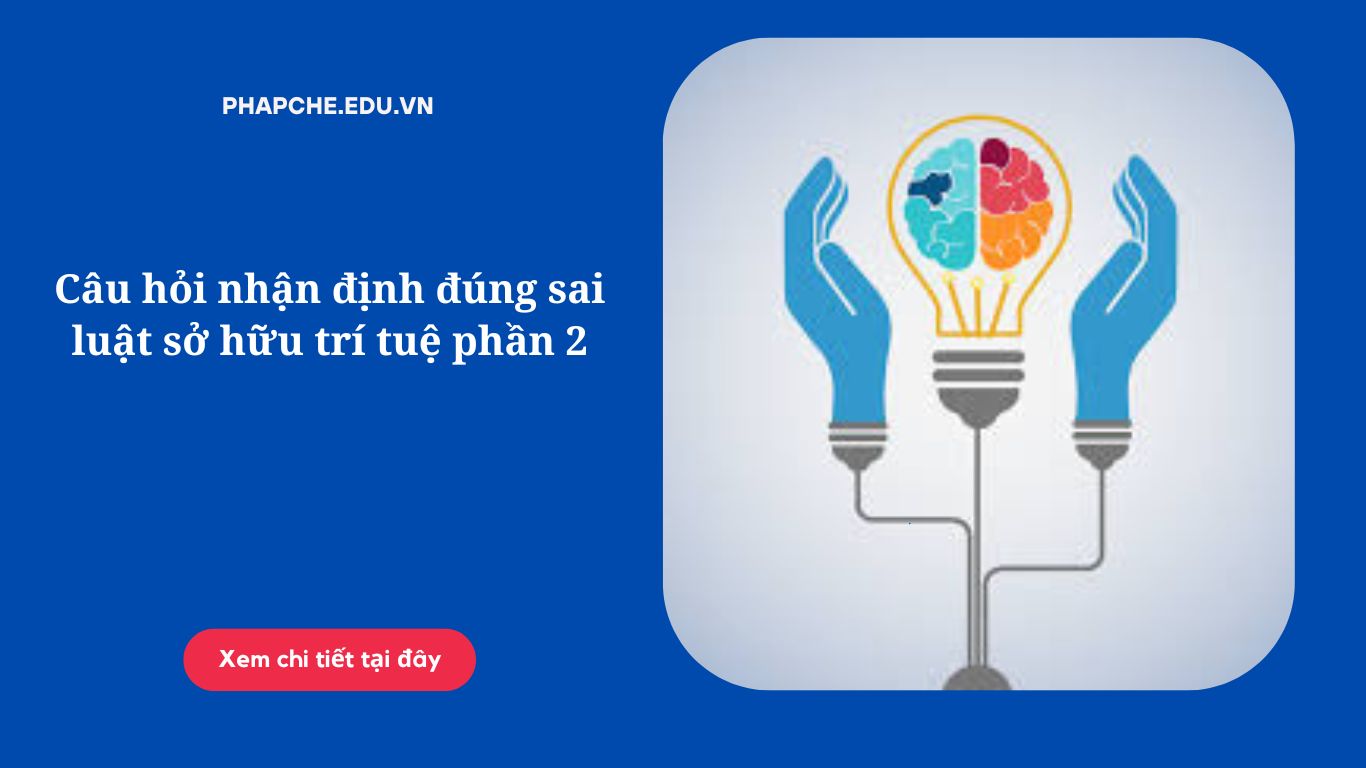 Câu hỏi nhận định đúng sai luật sở hữu trí tuệ phần 2