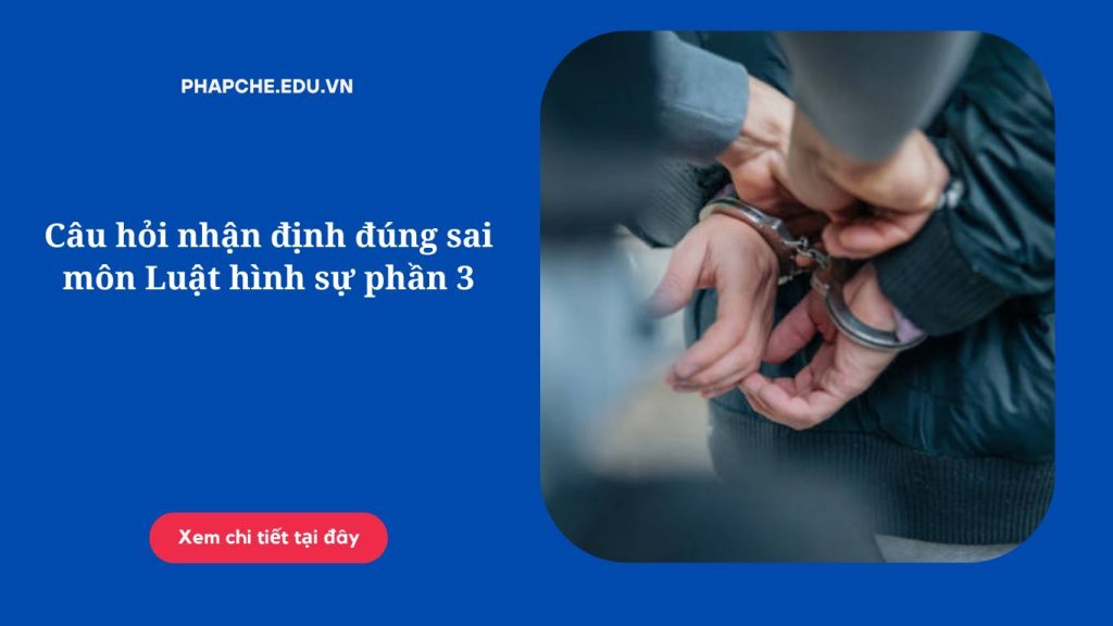 Câu hỏi nhận định đúng sai môn Luật hình sự phần 3