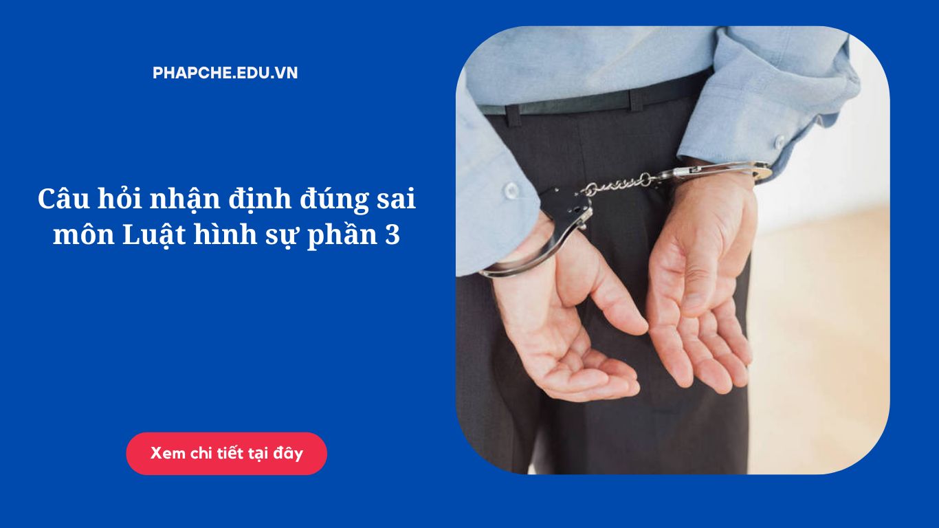 Câu hỏi nhận định đúng sai môn Luật hình sự phần 3