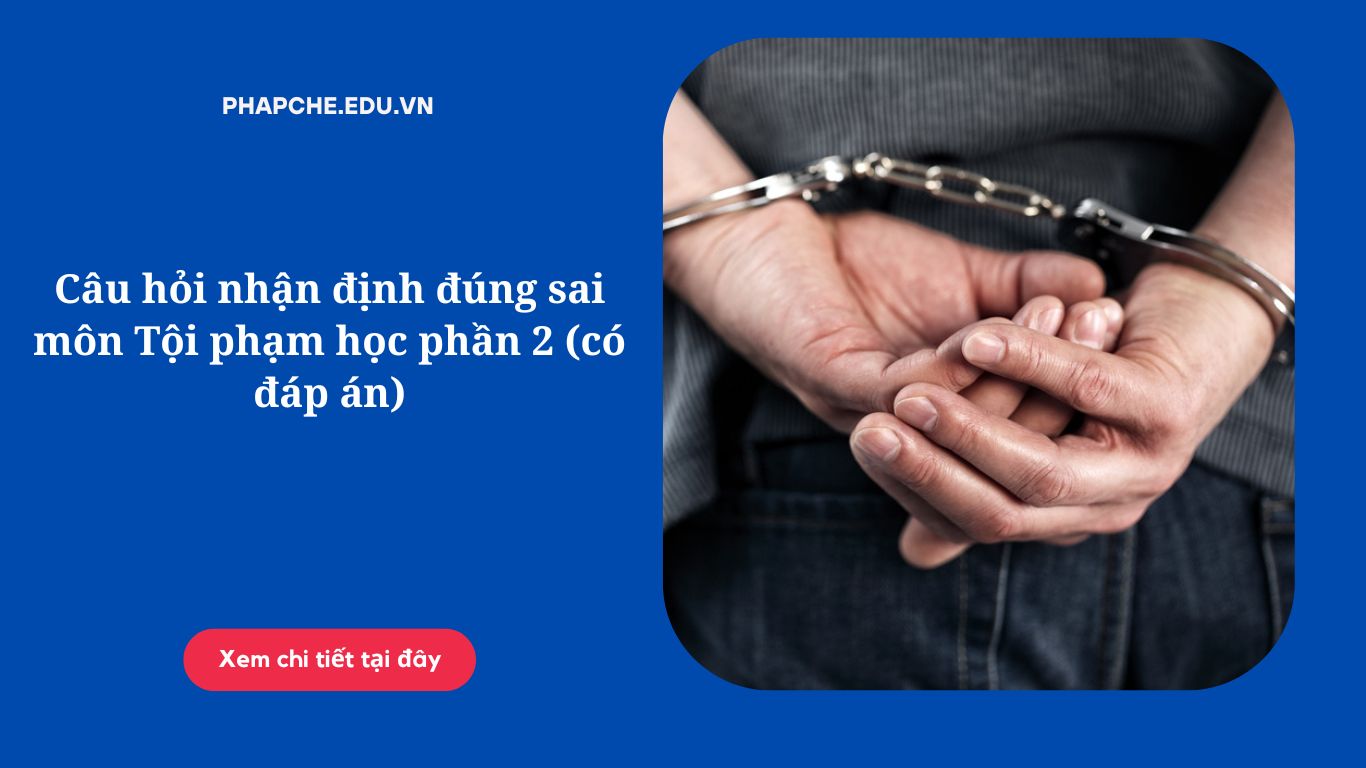 Câu hỏi nhận định đúng sai môn Tội phạm học phần 2 (có đáp án)