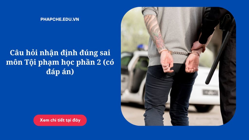 Câu hỏi nhận định đúng sai môn Tội phạm học phần 2 (có đáp án)