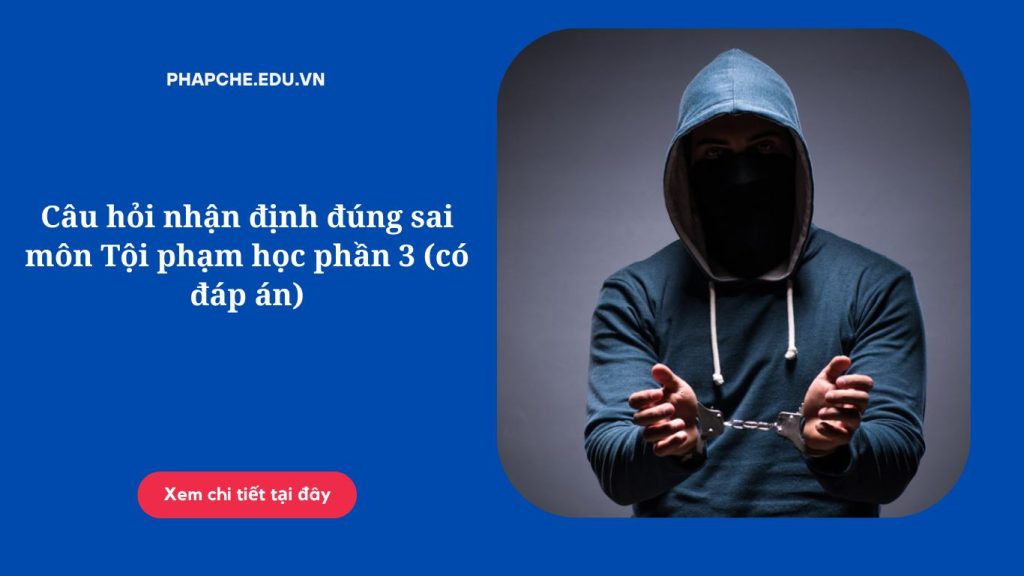 Câu hỏi nhận định đúng sai môn Tội phạm học phần 3 (có đáp án)