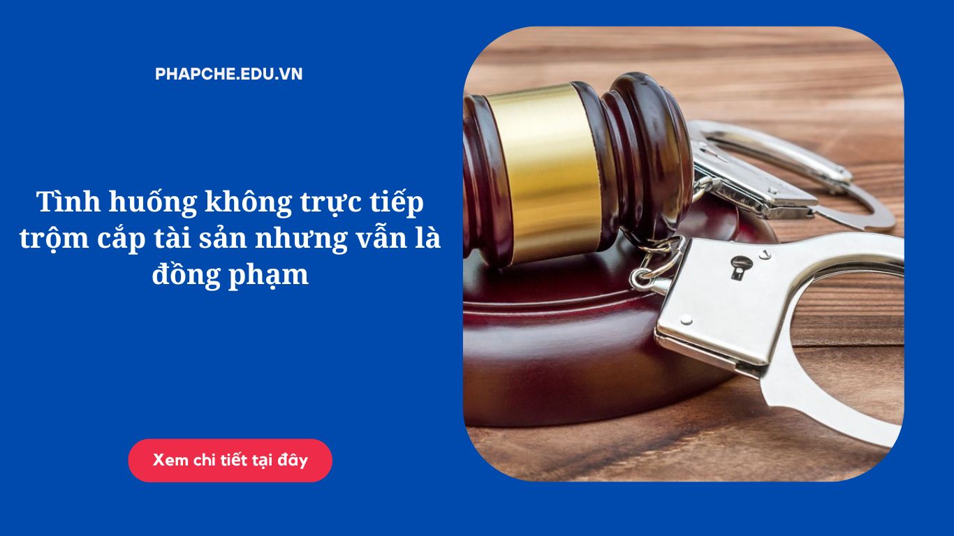 Tình huống không trực tiếp trộm cắp tài sản nhưng vẫn là đồng phạm