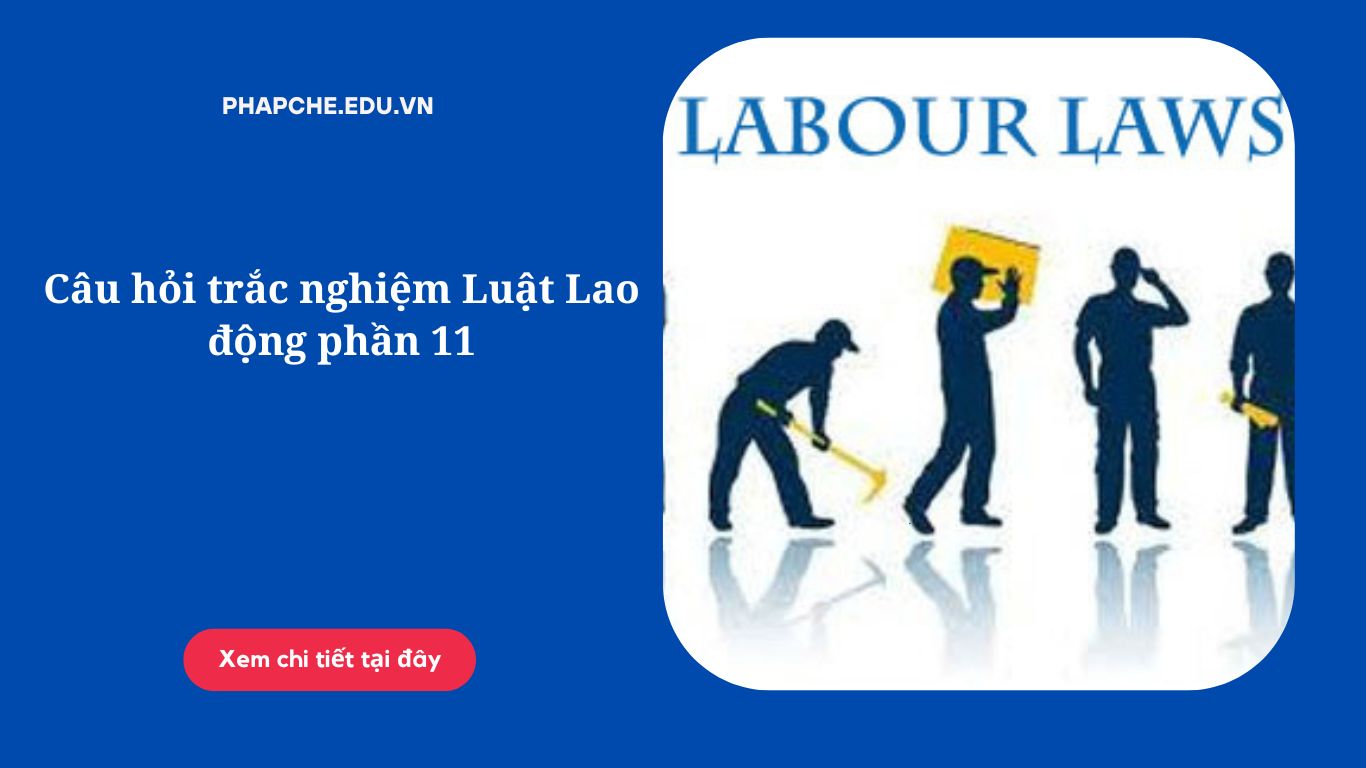 Câu hỏi trắc nghiệm Luật Lao động phần 11