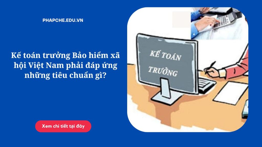 Kế toán trưởng Bảo hiểm xã hội Việt Nam phải đáp ứng những tiêu chuẩn gì?