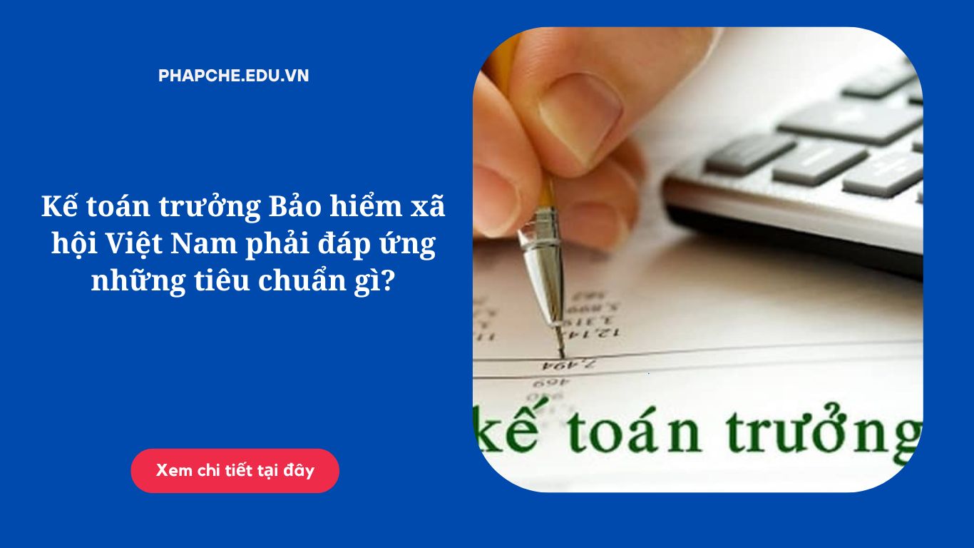 Kế toán trưởng Bảo hiểm xã hội Việt Nam phải đáp ứng những tiêu chuẩn gì?
