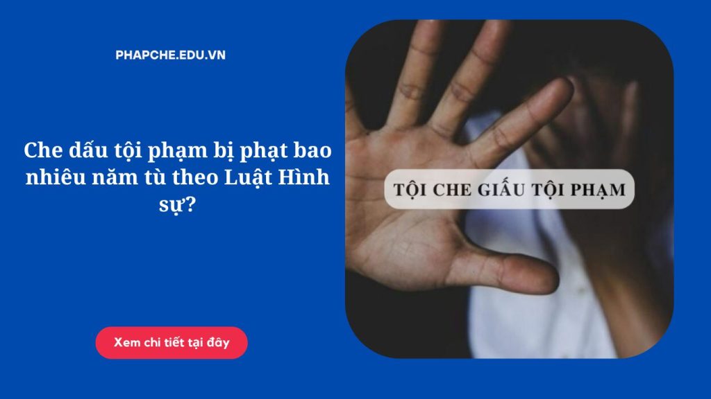 Che dấu tội phạm bị phạt bao nhiêu năm tù theo Luật Hình sự?