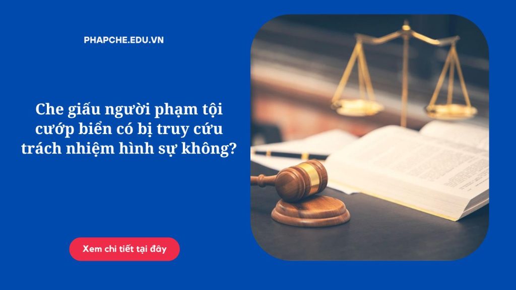 Che giấu người phạm tội cướp biển có bị truy cứu trách nhiệm hình sự không
