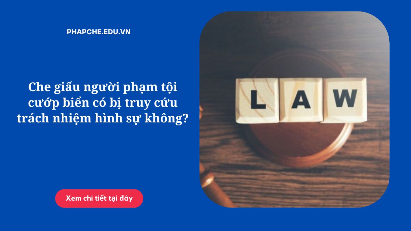 Che giấu người phạm tội cướp biển có bị truy cứu trách nhiệm hình sự không
