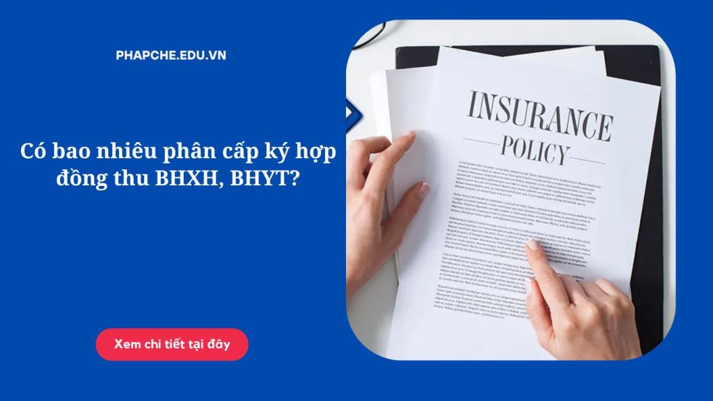 Có bao nhiêu phân cấp ký hợp đồng thu BHXH, BHYT?