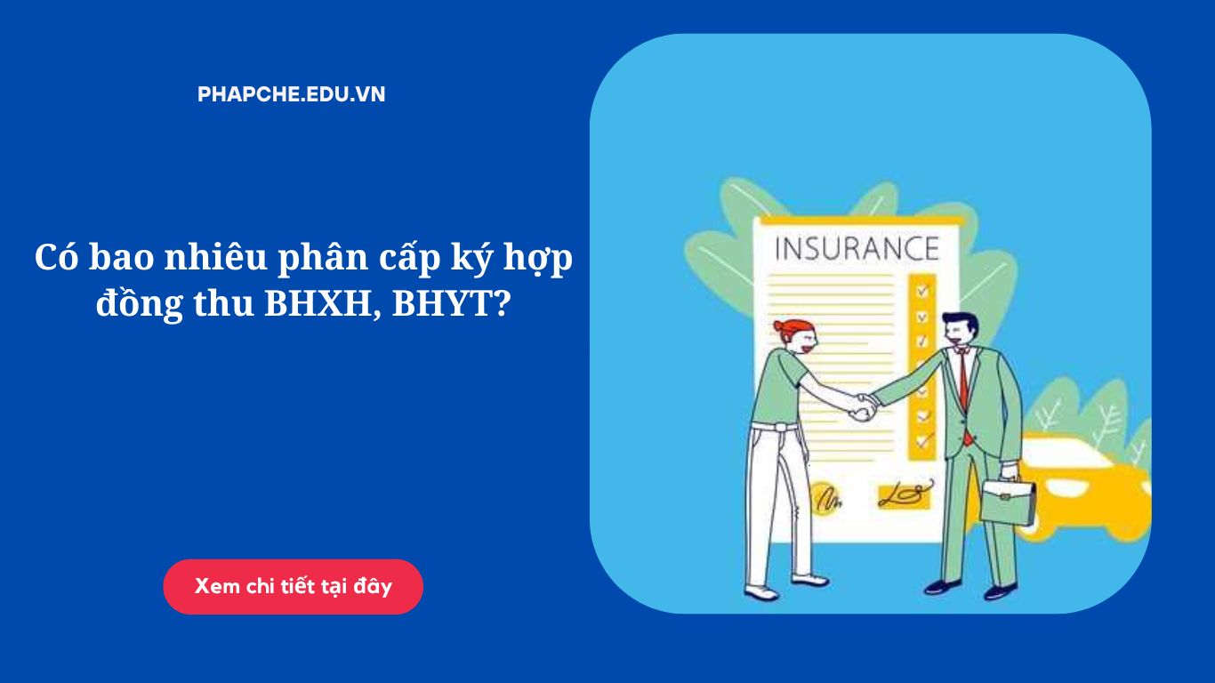 Có bao nhiêu phân cấp ký hợp đồng thu BHXH, BHYT?