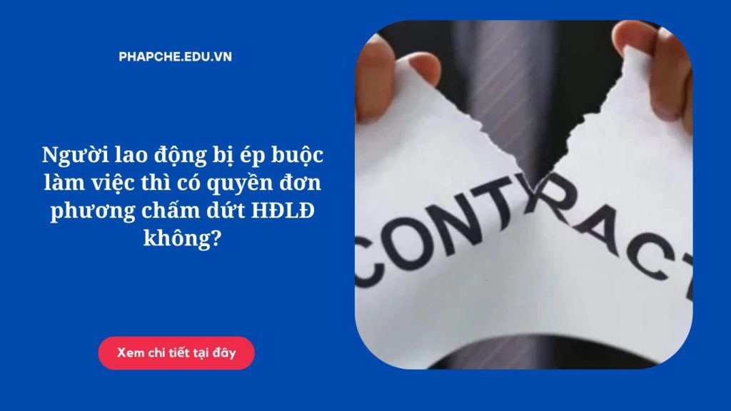 Người lao động bị ép buộc làm việc thì có quyền đơn phương chấm dứt HĐLĐ không?