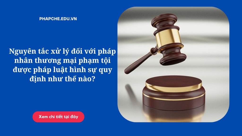 Nguyên tắc xử lý đối với pháp nhân thương mại phạm tội được pháp luật hình sự quy định như thế nào?