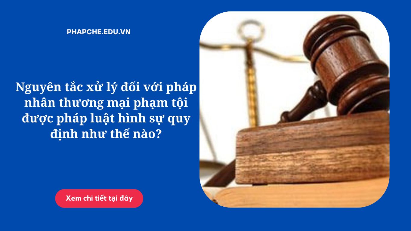 Nguyên tắc xử lý đối với pháp nhân thương mại phạm tội được pháp luật hình sự quy định như thế nào?