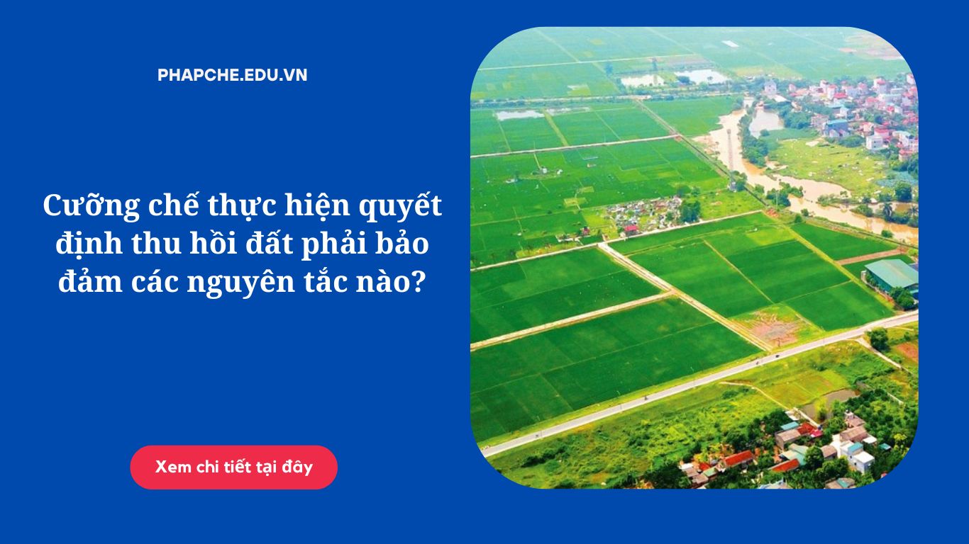 Cưỡng chế thực hiện quyết định thu hồi đất phải bảo đảm các nguyên tắc nào?