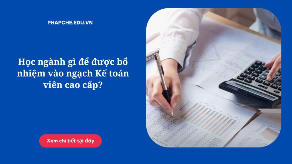 Học ngành gì để được bổ nhiệm vào ngạch Kế toán viên cao cấp