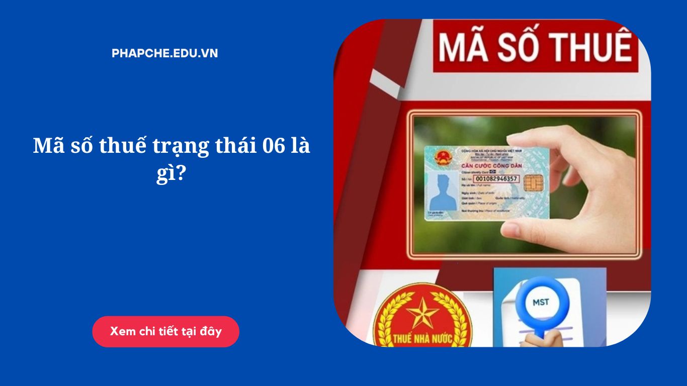 Mã số thuế trạng thái 06 là gì