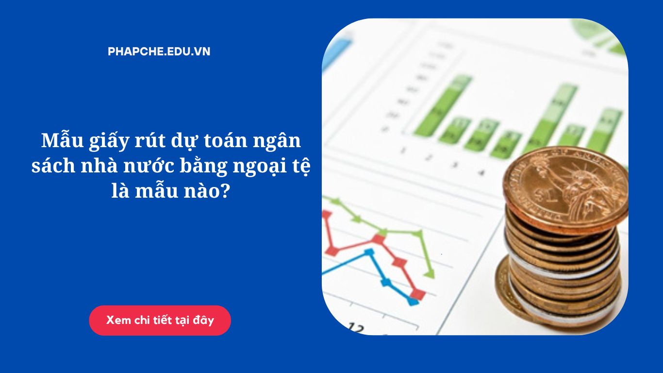 Mẫu giấy rút dự toán ngân sách nhà nước bằng ngoại tệ là mẫu nào?