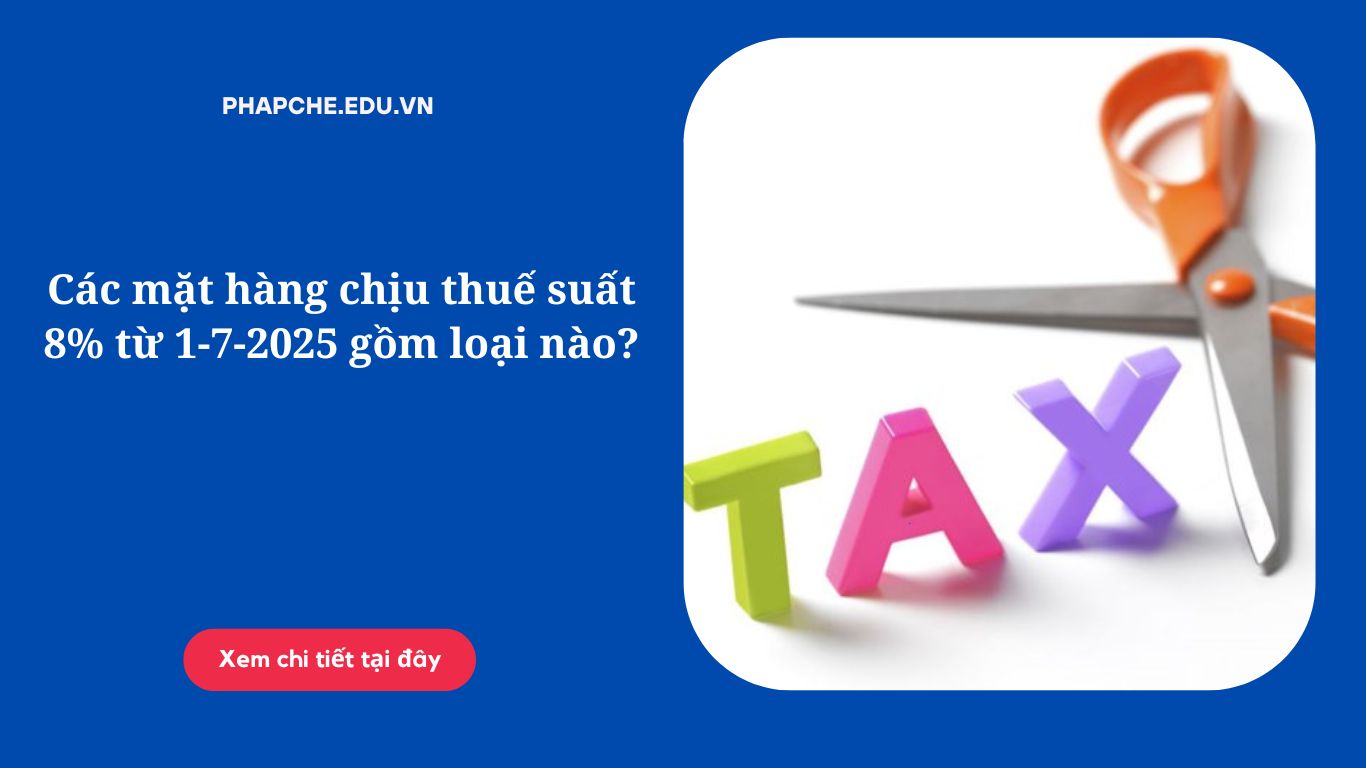 Các mặt hàng chịu thuế suất 8% từ 1-7-2025 gồm loại nào;
