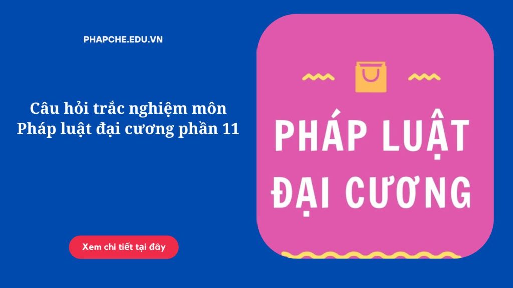 Câu hỏi trắc nghiệm môn Pháp luật đại cương phần 11