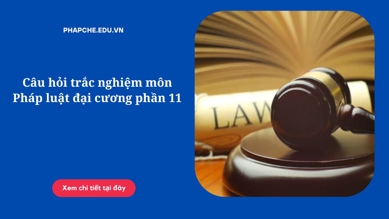 Câu hỏi trắc nghiệm môn Pháp luật đại cương phần 11