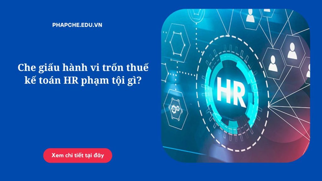Che giấu hành vi trốn thuế kế toán HR phạm tội gì?