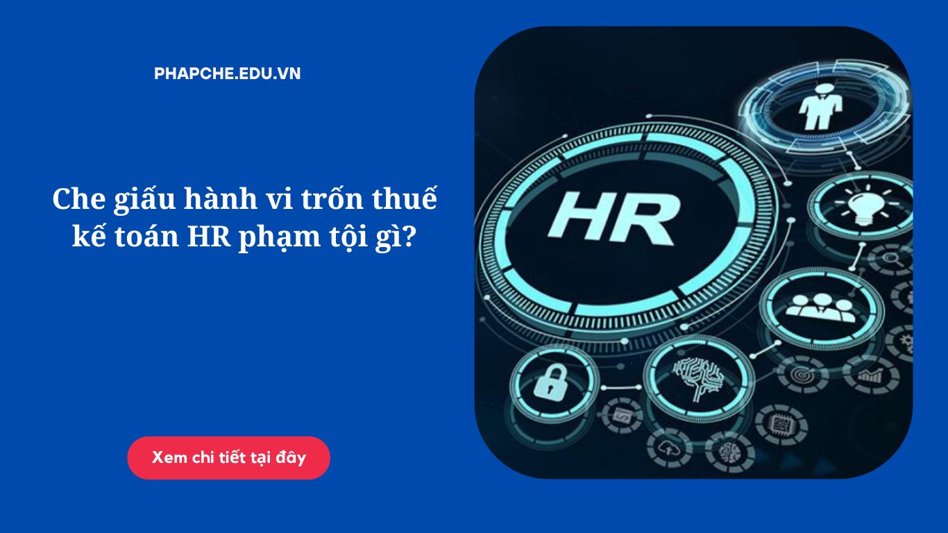 Che giấu hành vi trốn thuế kế toán HR phạm tội gì?