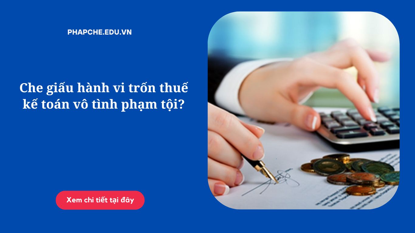 Che giấu hành vi trốn thuế kế toán vô tình phạm tội?