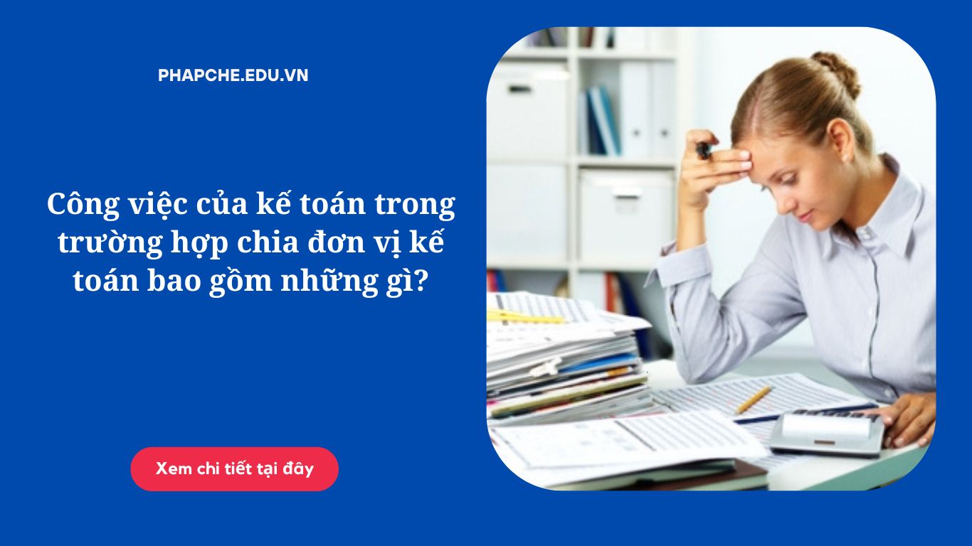 Công việc của kế toán trong trường hợp chia đơn vị kế toán bao gồm những gì?