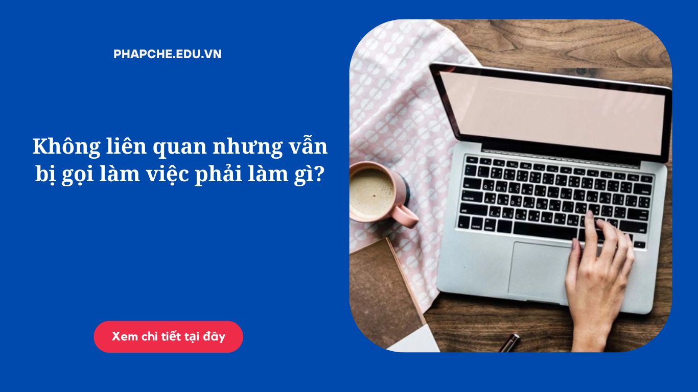 Không liên quan nhưng vẫn bị gọi làm việc phải làm gì?