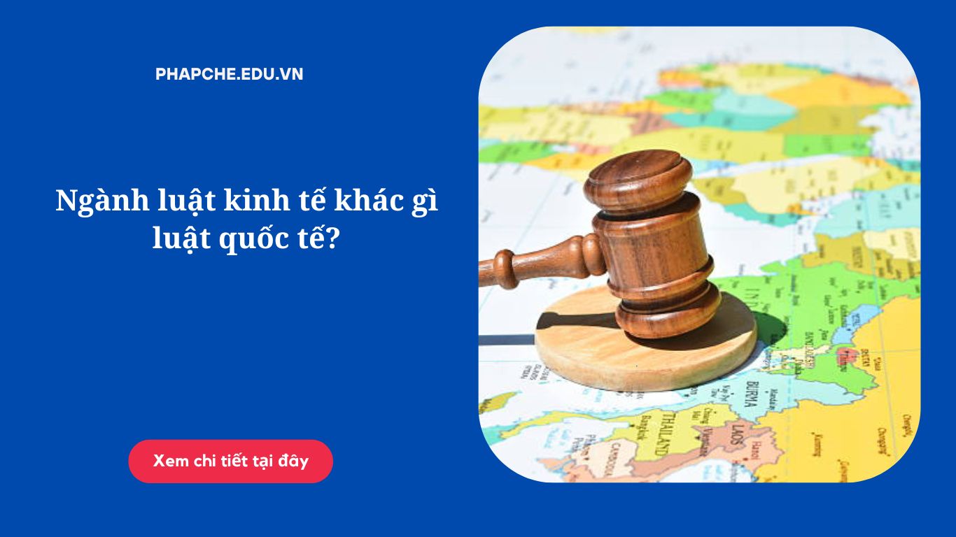 Ngành luật kinh tế khác gì luật quốc tế?