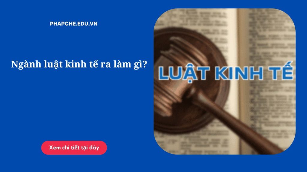 Ngành luật kinh tế ra làm gì?