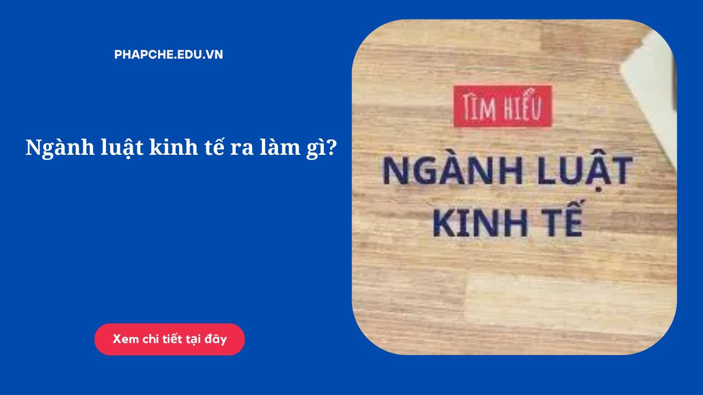 Ngành luật kinh tế ra làm gì?