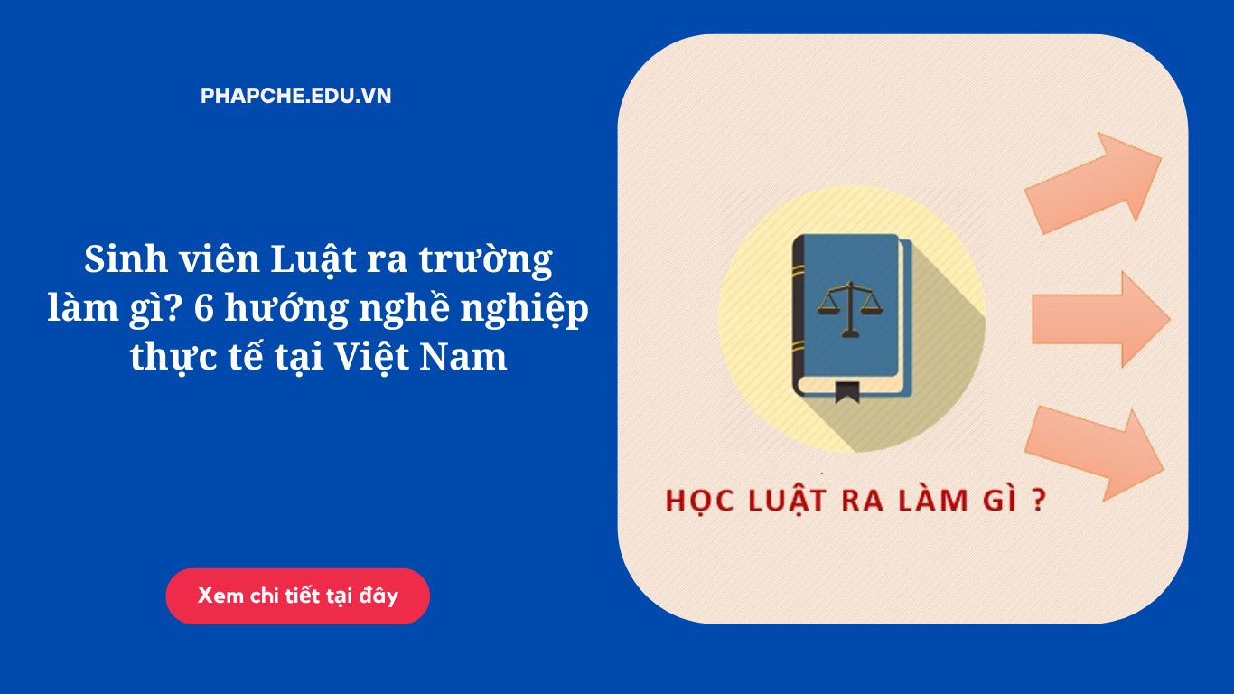 Sinh viên Luật ra trường làm gì? 6 hướng nghề nghiệp thực tế tại Việt Nam