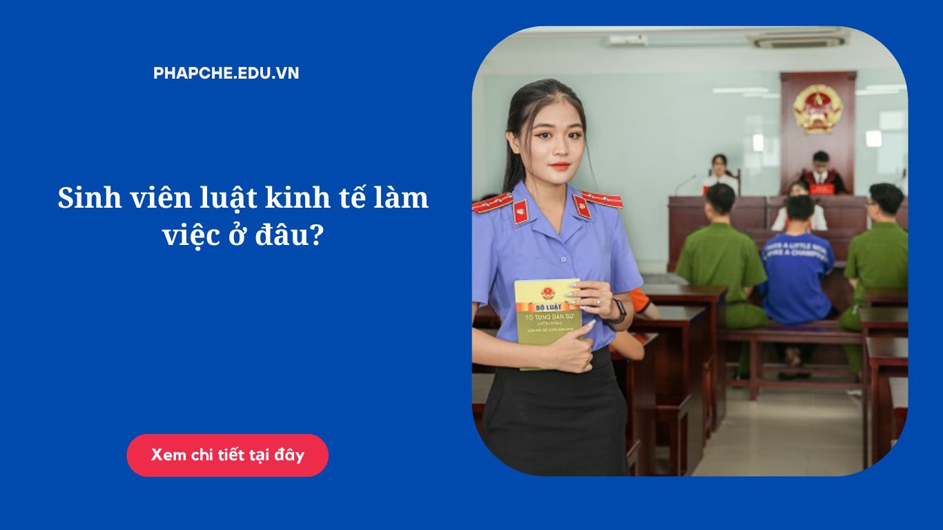 Sinh viên luật kinh tế làm việc ở đâu?