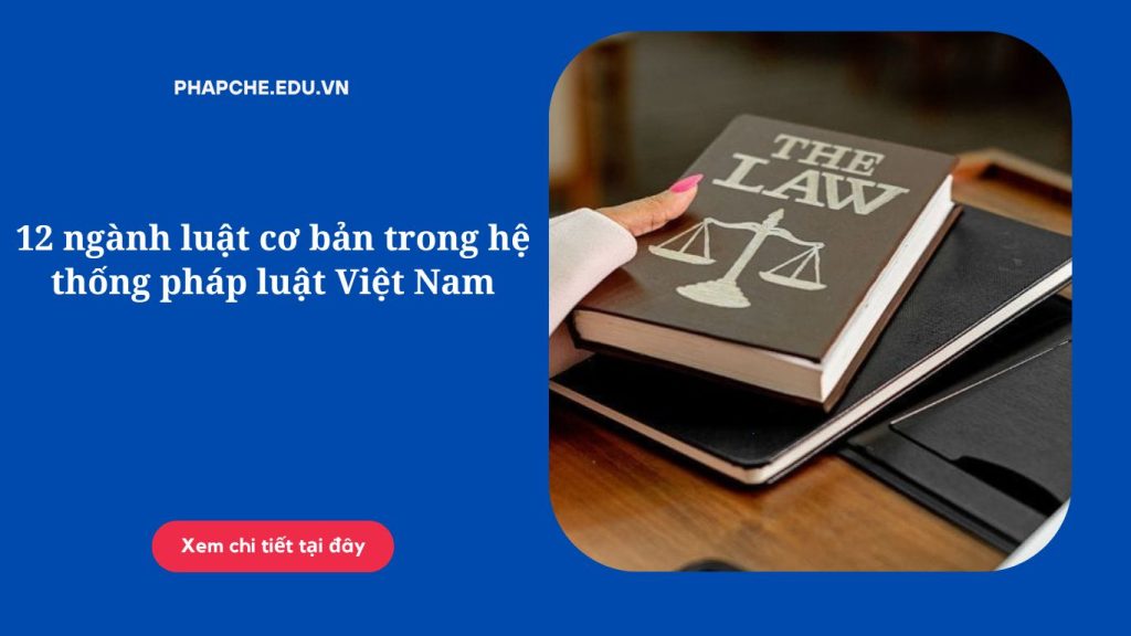 12 ngành luật cơ bản trong hệ thống pháp luật Việt Nam