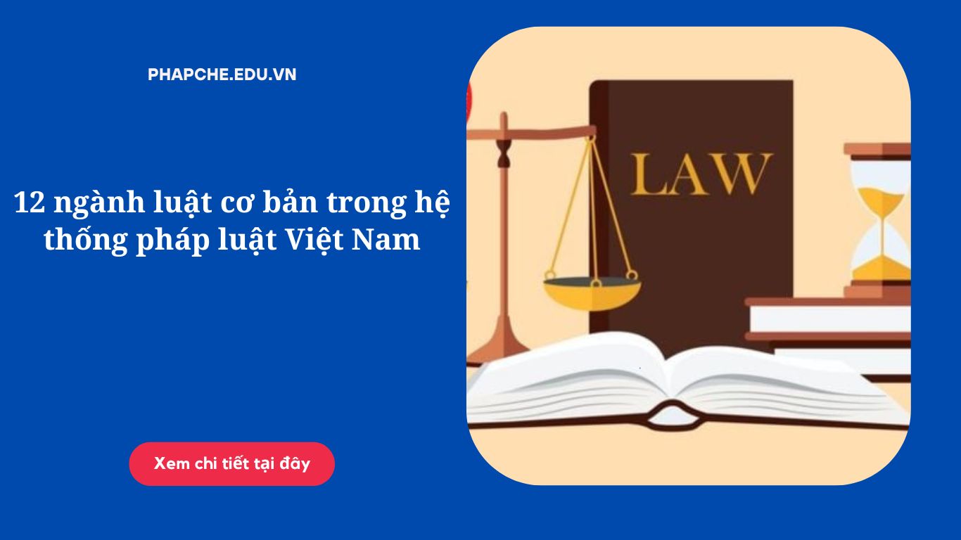 12 ngành luật cơ bản trong hệ thống pháp luật Việt Nam